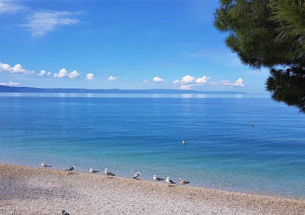 Apartmani Mirona - Tučepi Buitenkant foto