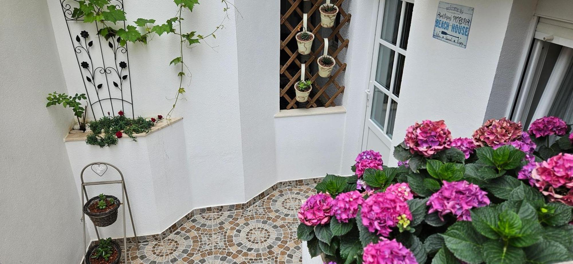 Apartmani Mirona - Tučepi Buitenkant foto