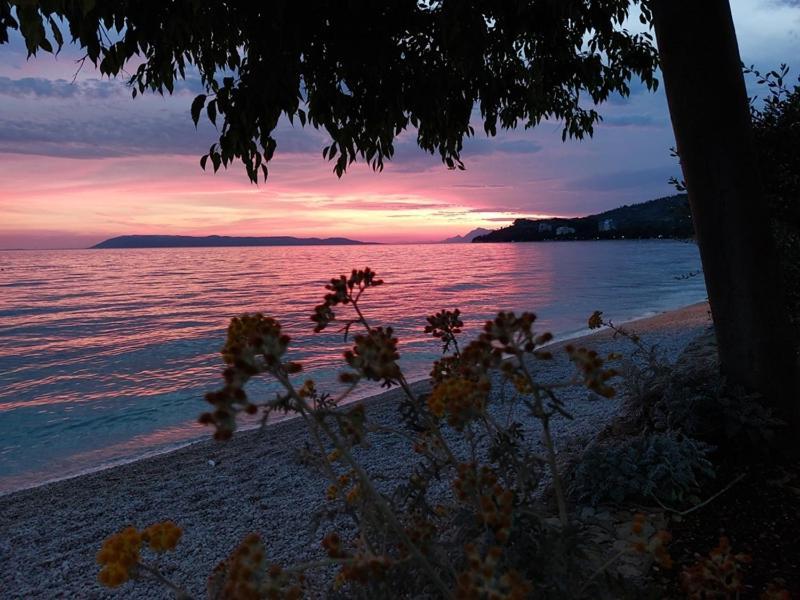 Apartmani Mirona - Tučepi Buitenkant foto